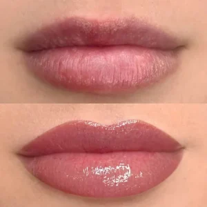 lippigmentatie+lip+blush+nieuw+1.1